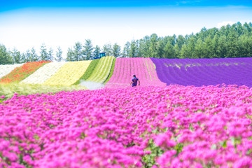 Fototapeta na wymiar Colorful flower garden and the gardener with blurred in the foreground flowers
