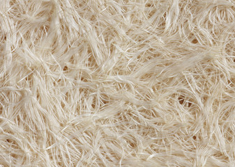white roots of grass, bottom view, texture, closeup
