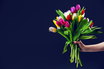 woman's hand gives a bouquet of tulips - obrazy, fototapety, plakaty