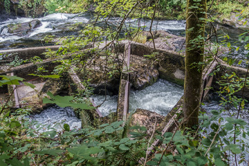 Tumwater River Fish Ladder