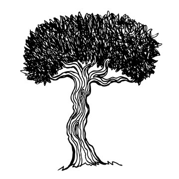 Vintage illustration of a tree
