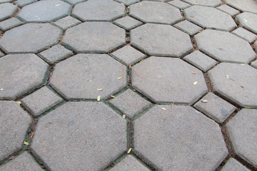 Brick worm or Bricklaying worm on the walkway, Shooting angle in