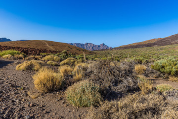 Volkan Teide