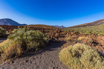 Volkan Teide