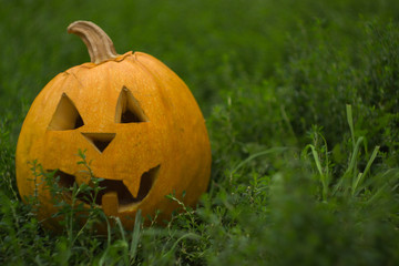 Obraz premium halloween pumpkin
