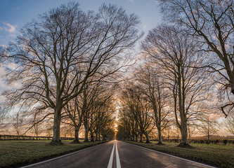 Fototapeta premium Autumn Road