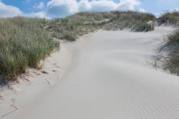 Fototapeta na wymiar Weg durch die hohen Dünen am Strand