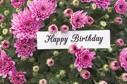 “Happy Birthday Card with Bouquet of Pink Chrysanthemums” Stock photo
