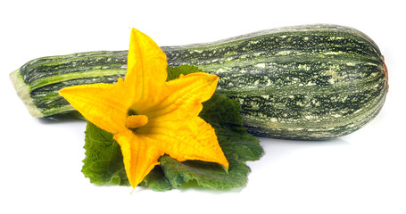 One zucchini with leaf and flower isolated on white background