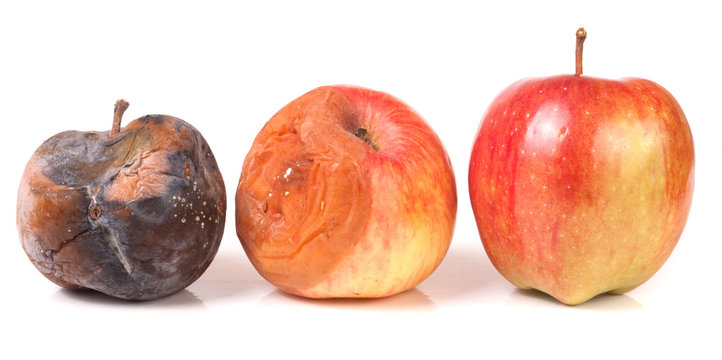 Rotten Apple Images – Browse 13,475 Stock Photos, Vectors, and Video