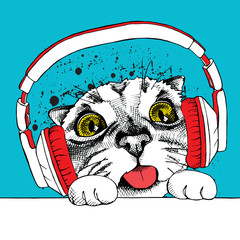 The image Portrait of a cat with the headphones. Vector illustration.