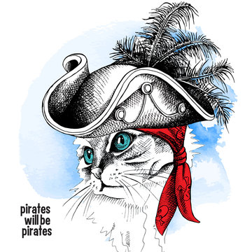 Image cat portrait in a pirate hat and bandana on blue background. Vector illustration.
