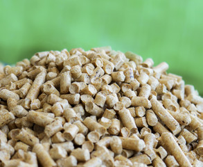 Biofuels. Alternative biofuel from sawdust for burning in boilers. Wood pellets on the background of greenery. Biofuels. The cat litter.