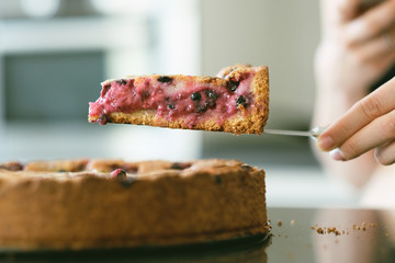 Wild berry homemade pie slice
