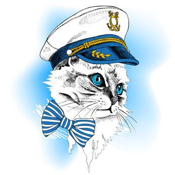Portrait cat in a sailor's cap and tie on blue background. Vector illustration.
