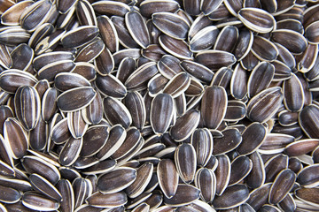 sunflower seeds a lot as background