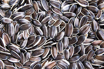 sunflower seeds a lot as background