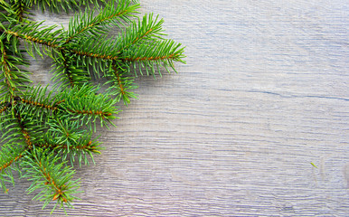 fir branch on wood