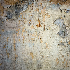 large grunge textures and backgrounds - perfect background with