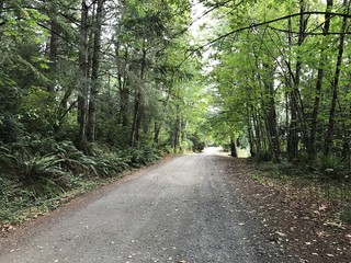 Fototapeta premium Gravel road