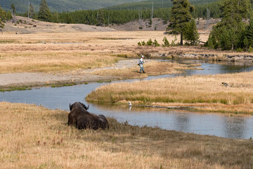 Fly Fishing Yellowstone National Park