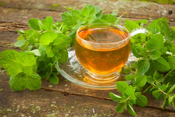 green tea in beautiful cup