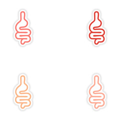Set of paper stickers on white background human intestine
