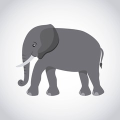 elephant silhouette asian icon vector illustration design