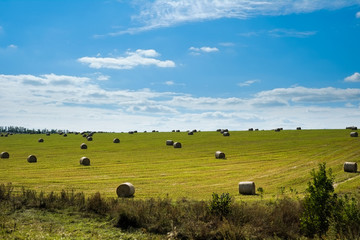 field with straw bales