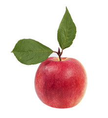 Ripe apple with leaf on white background isolated