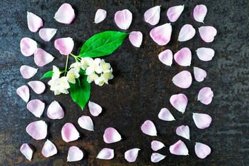 Obraz na płótnie Canvas Frame with petals of pink tea rose and jasmine flowers