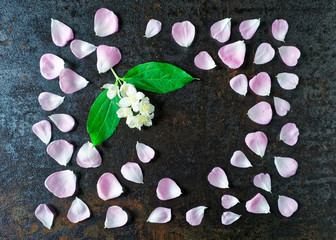 Obraz na płótnie Canvas Frame with pink tea roses petals and jasmine flowers