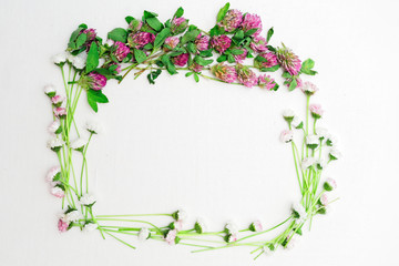 Wreath of clover and daisy on white