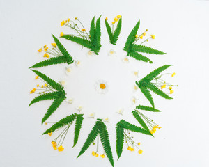 Wreath of jasmine chamomile ranunculus and leaves of green fern