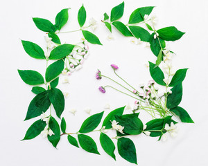 Wreath of jasmine flowers and leaves and chamomile
