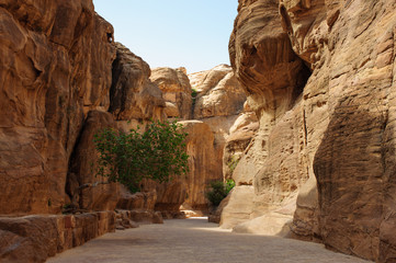 Trails of the Middle East