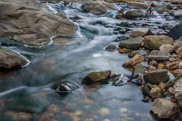 Winter Frost on the River