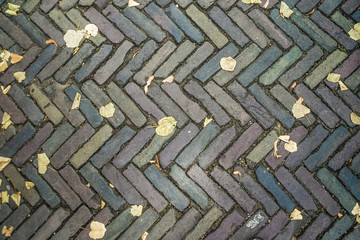 Street tiles with leaves