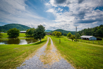 Fototapeta na wymiar Pond along a dirt road in the rural Shenandoah Valley of Virgini