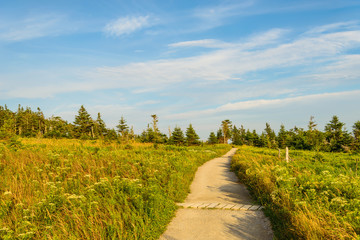 Skyline Trail look-off at sunset (French Mountain, Cape Breton, Nova Scotia, Canada)