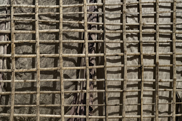 Bamboo canvas fence, Siem Reap, Cambodia