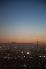 高層ビルと東京スカイツリーと富士山　夕景
