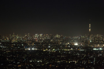Fototapeta na wymiar 高層ビルと東京スカイツリー　夜景