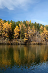 bright autumn landsape. blue sky and colorful green, yelow and orage foliage reflect in calm water of river/
