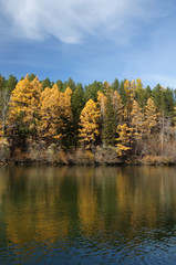bright autumn landsape. blue sky and colorful green, yelow and orage foliage reflect in calm water of river/