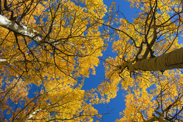 Pikes Peak and Crystal Reservoir