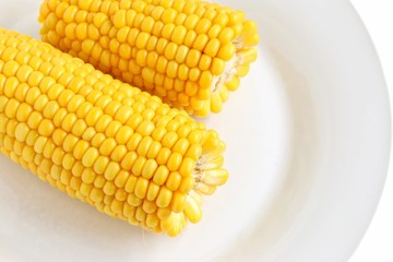 Freshly Cooked Sweet Corn on White Plate
