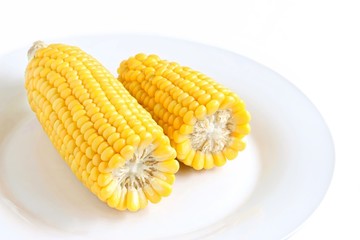 Freshly Cooked Sweet Corn on White Plate