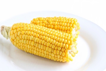 Freshly Cooked Sweet Corn on White Plate