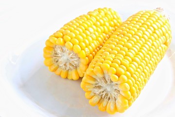 Freshly Cooked Sweet Corn on White Plate